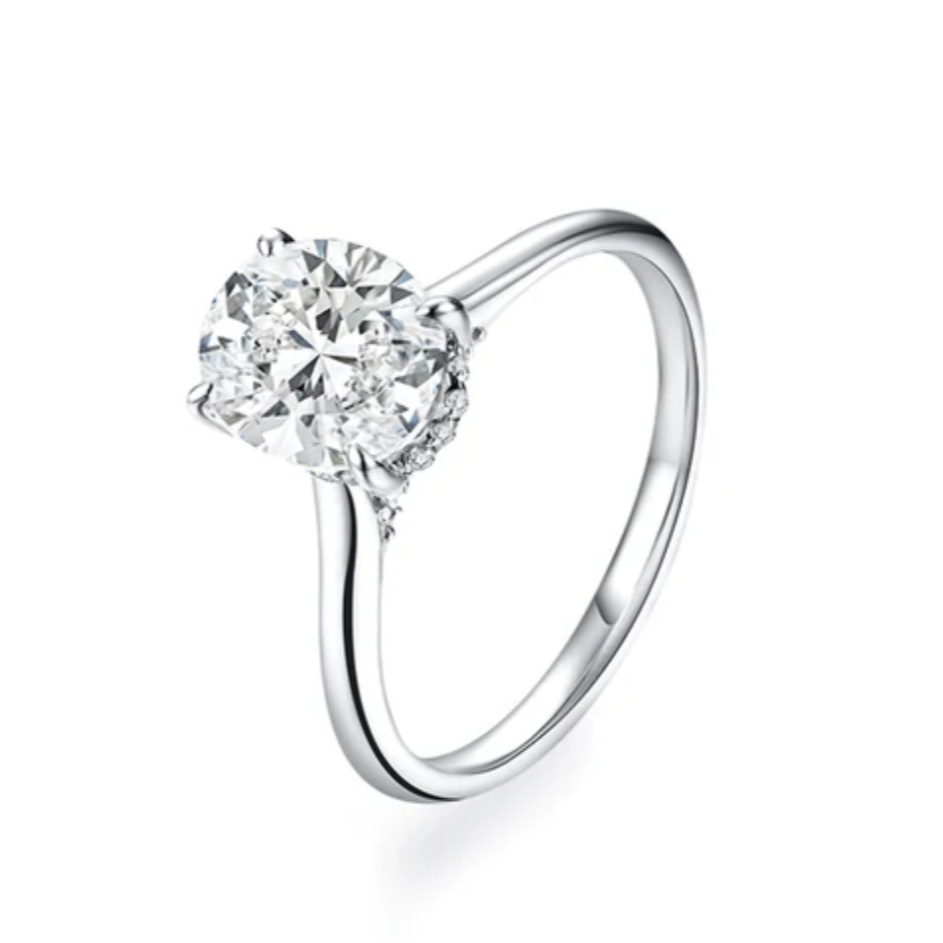 Round Cut Double Halo Diamond Engagement Ring In 14K White Gold | Carizza |  Jewelry Artisans