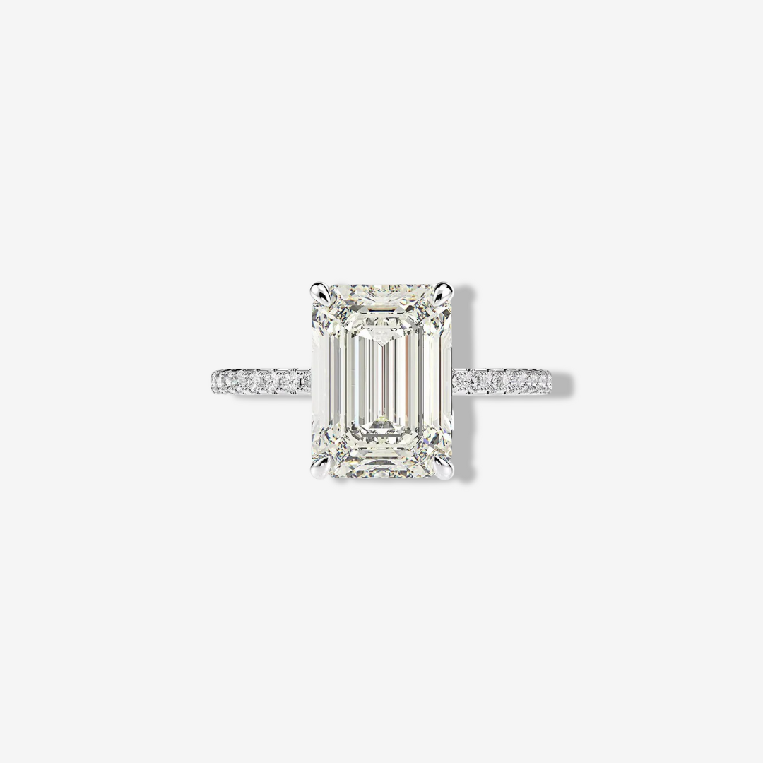 Nicola Peltz, Emerald Cut Engagement Ring, 5 Carats