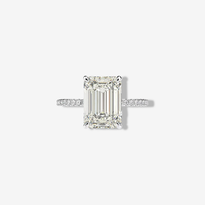 Nicola Peltz, Emerald Cut Engagement Ring, 5 Carats