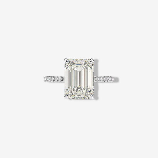 Nicola Peltz, Emerald Cut Engagement Ring, 5 Carats