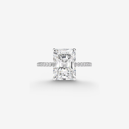Nicola Peltz, Emerald Cut Engagement Ring, 5 Carats