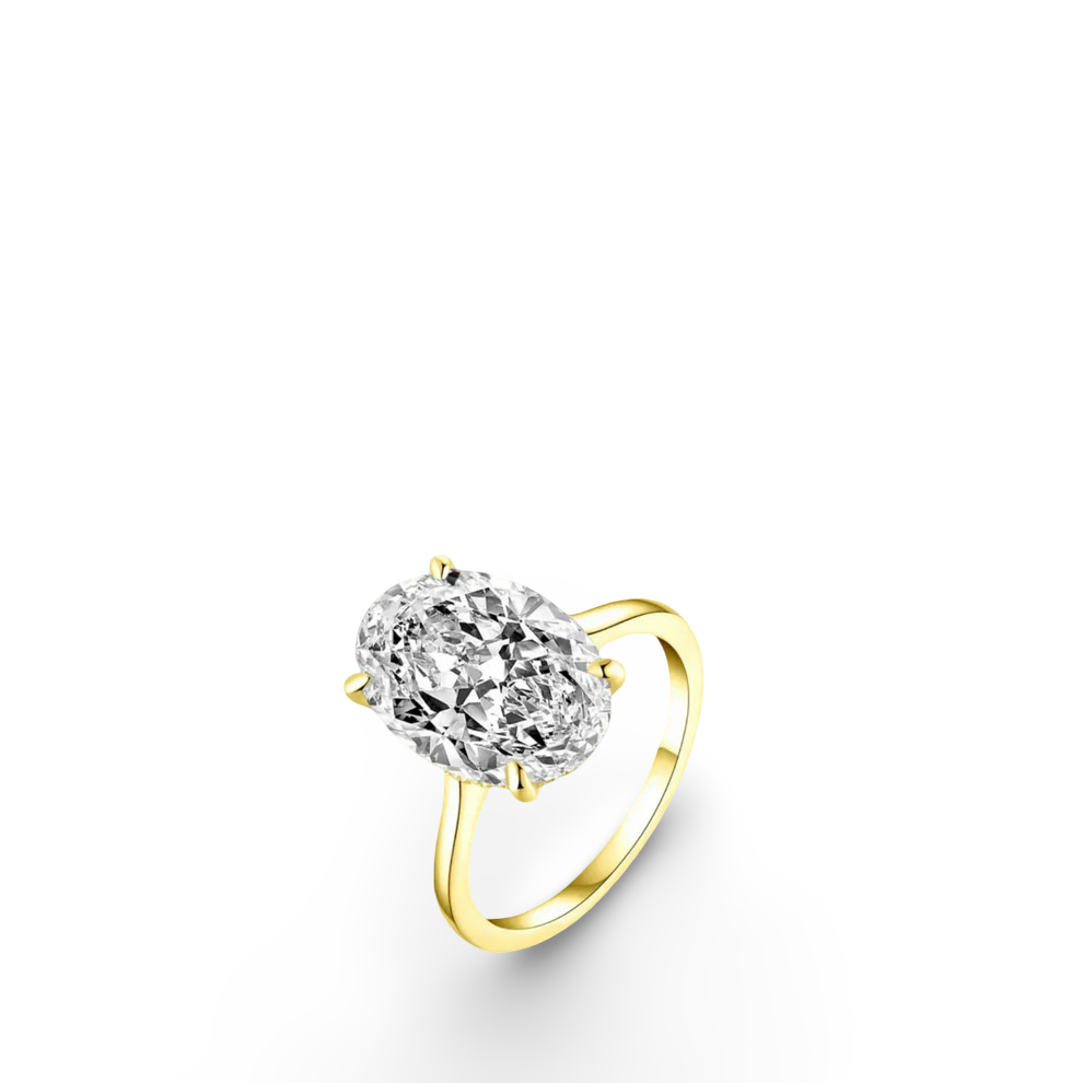 Hailey Bieber, Oval Cut Ring, 6 Carats, Gold